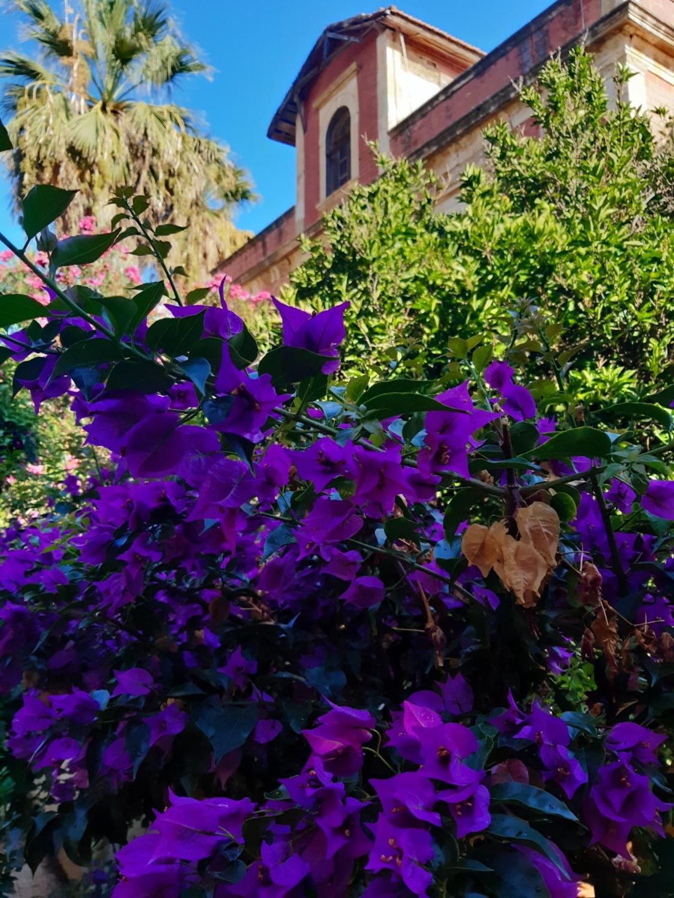 Avgi Garden House Chania With Private Entrance Zewnętrze zdjęcie
